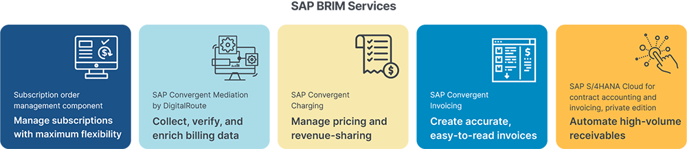 SAP Billing and Revenue Innovation Management Or SAP BRIM Services