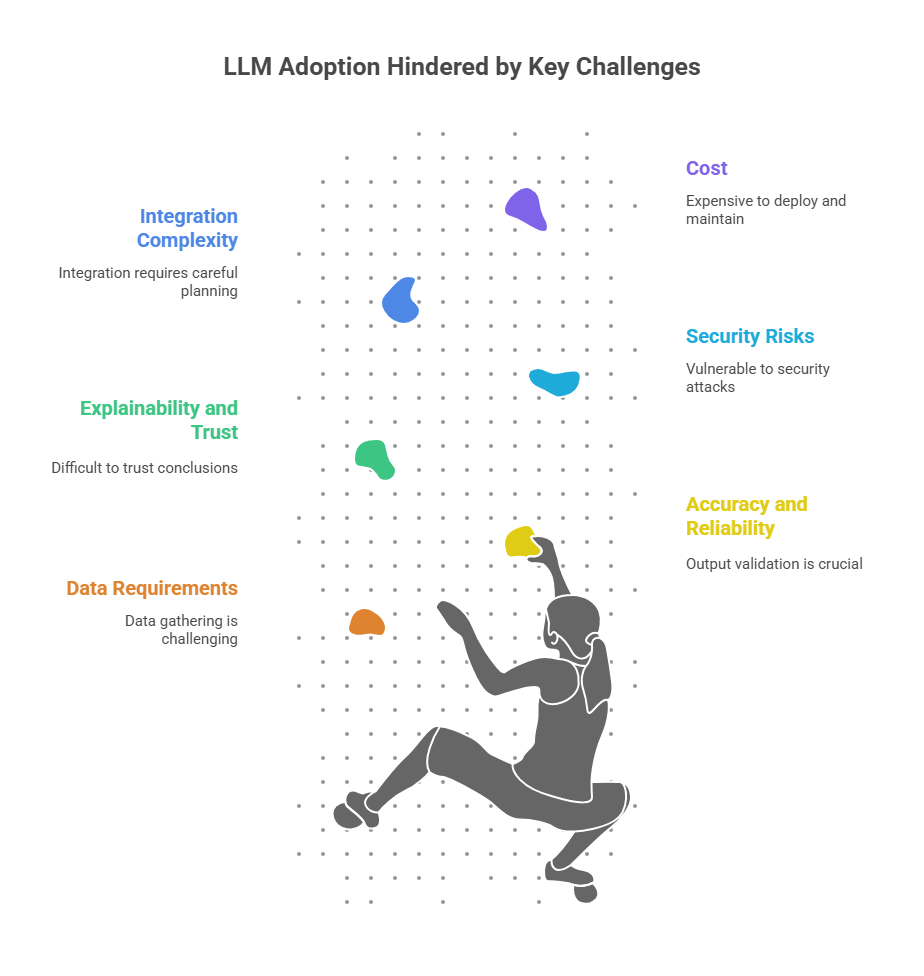 Key Challenges in LLM Adoption